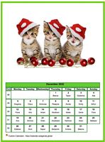December 2022 calendar of serie 'Cats'