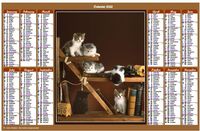 Annual 2022 calendar with cats