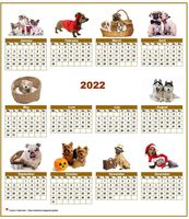 Annual 2022 calendar with 10 pictures of dogs
