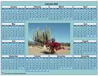 2022 cyan photo calendar