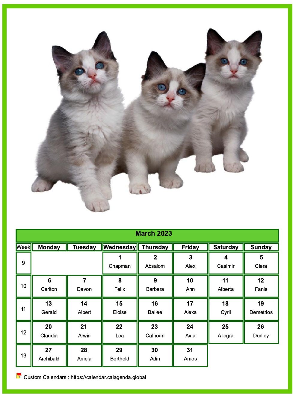 Calendar March 2023 cats