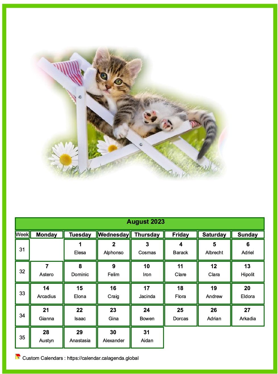 Calendar August 2023 cats