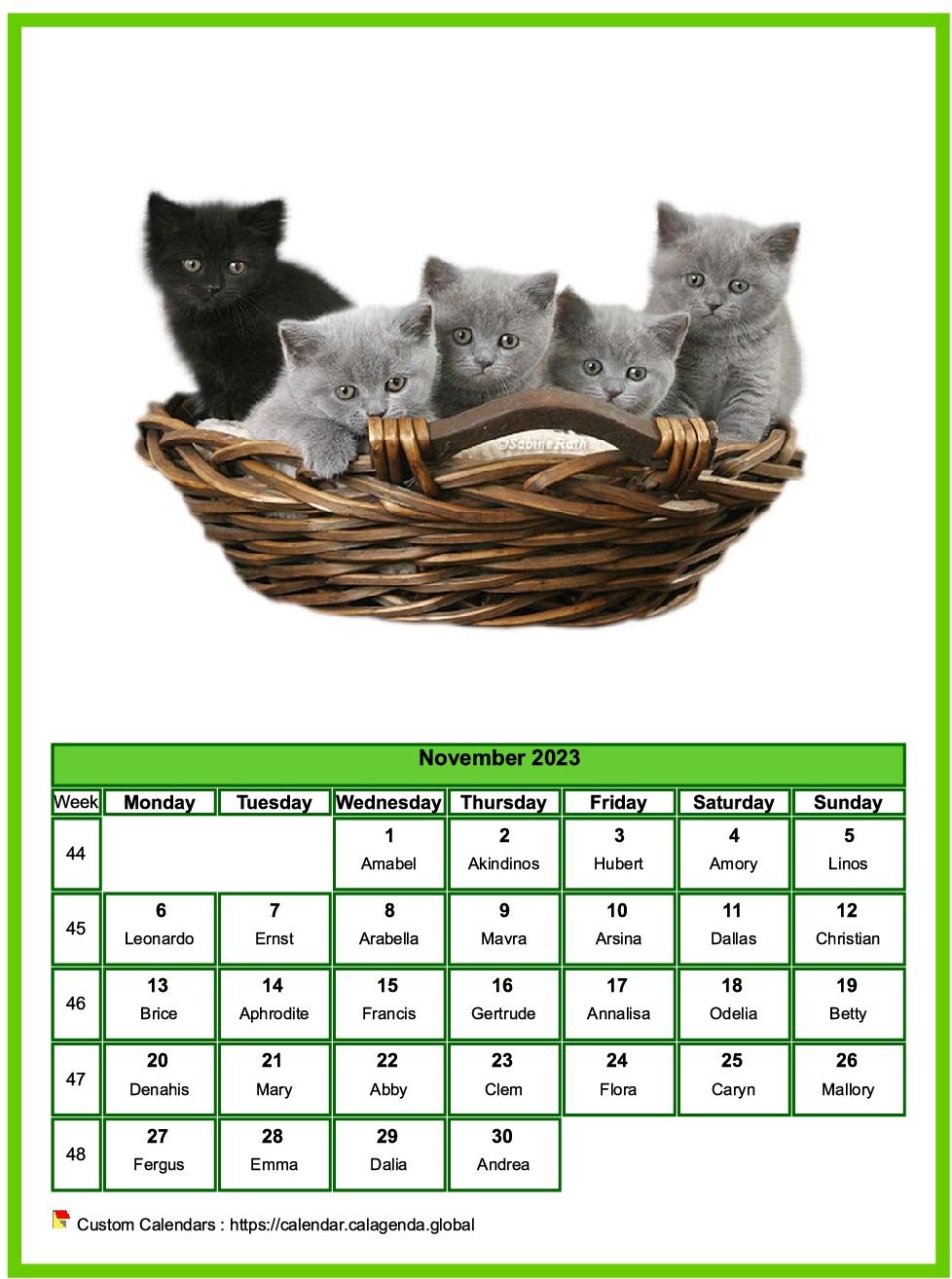 Calendar November 2023 cats