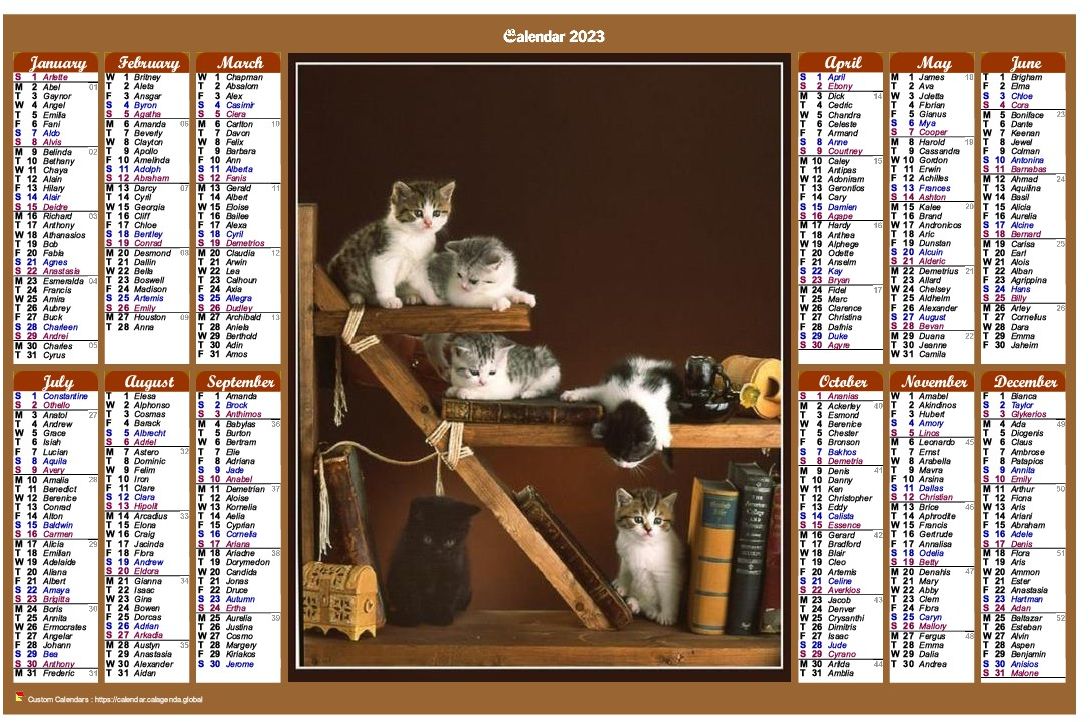 Calendar 2023 annual of style calendar of posts with cats