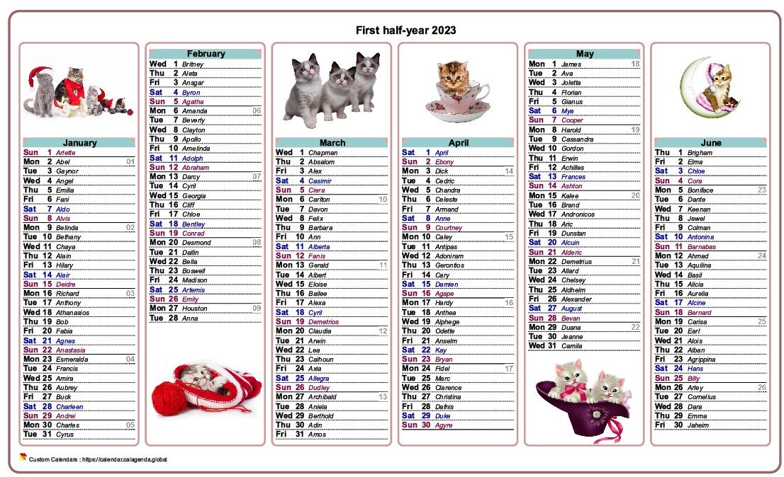 Calendar 2023 half-year cats