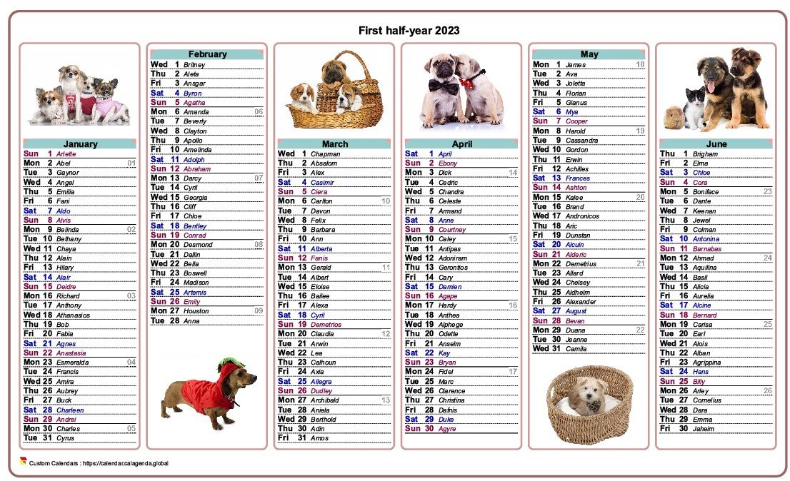 Calendar 2023 half-year dogs