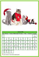 January 2023 calendar of serie 'Cats'