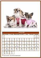 January 2023 calendar of serie 'dogs'