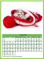 February 2023 calendar of serie 'Cats'