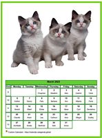 March 2023 calendar of serie 'Cats'