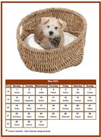 Dog monthly calendar with a different image each month