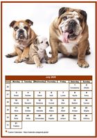 July 2023 calendar of serie 'dogs'