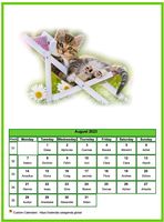 August 2023 calendar of serie 'Cats'