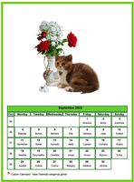 September 2023 calendar of serie 'cats'