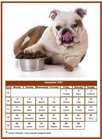 September 2023 calendar of serie 'dogs'
