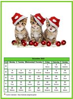 December 2023 calendar of serie 'cats'
