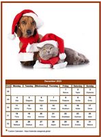 December 2023 calendar of serie 'dogs'