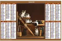 Annual 2023 calendar with cats