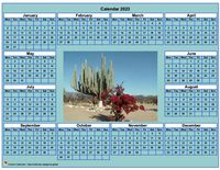Cyan photo calendar