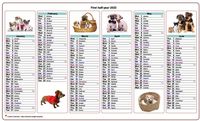 Semi-annual calendar 2023 dogs