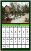 Monthly calendar with a different photo each month