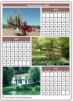 Quarterly calendar with one photo per month