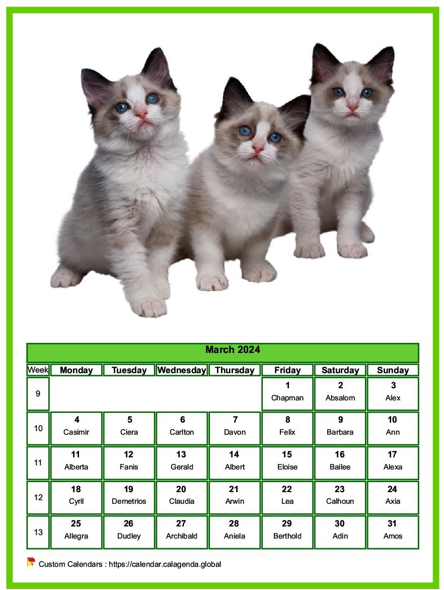 Calendar March 2024 cats
