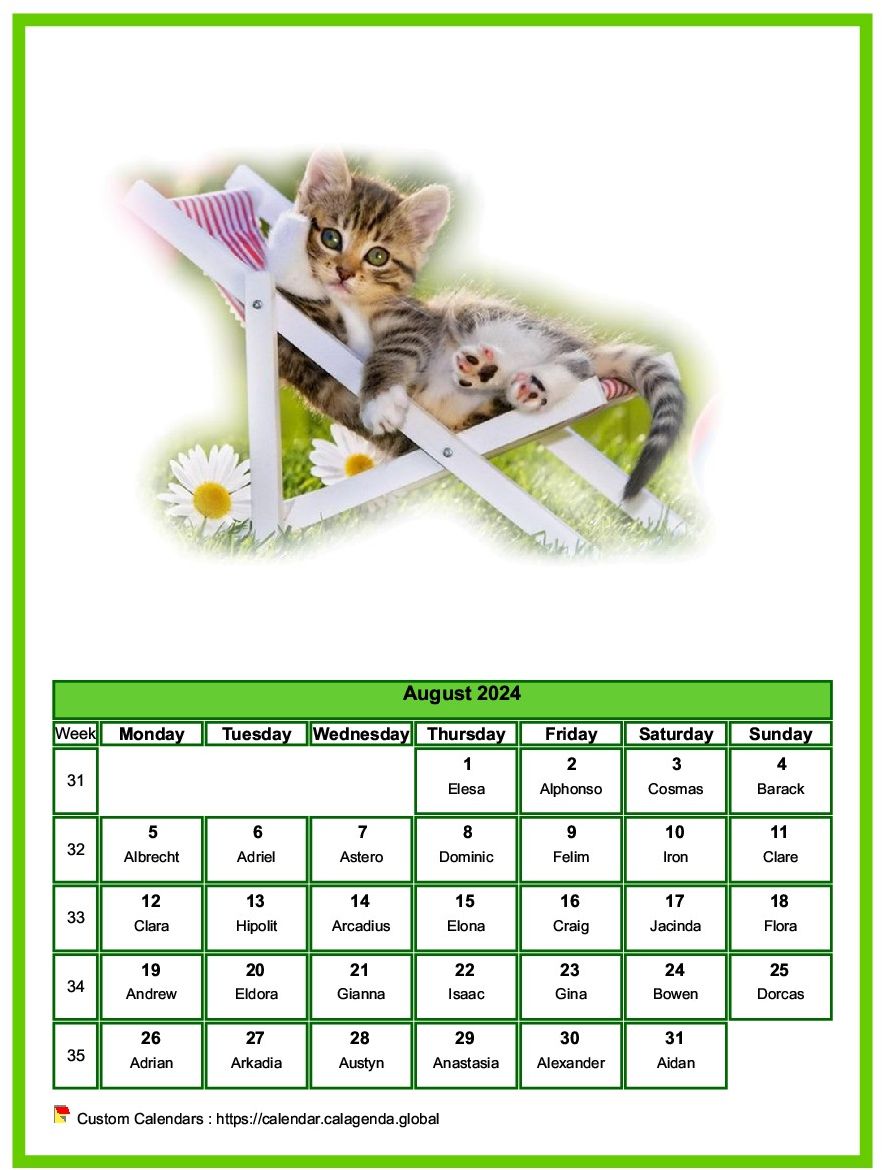 Calendar August 2024 cats