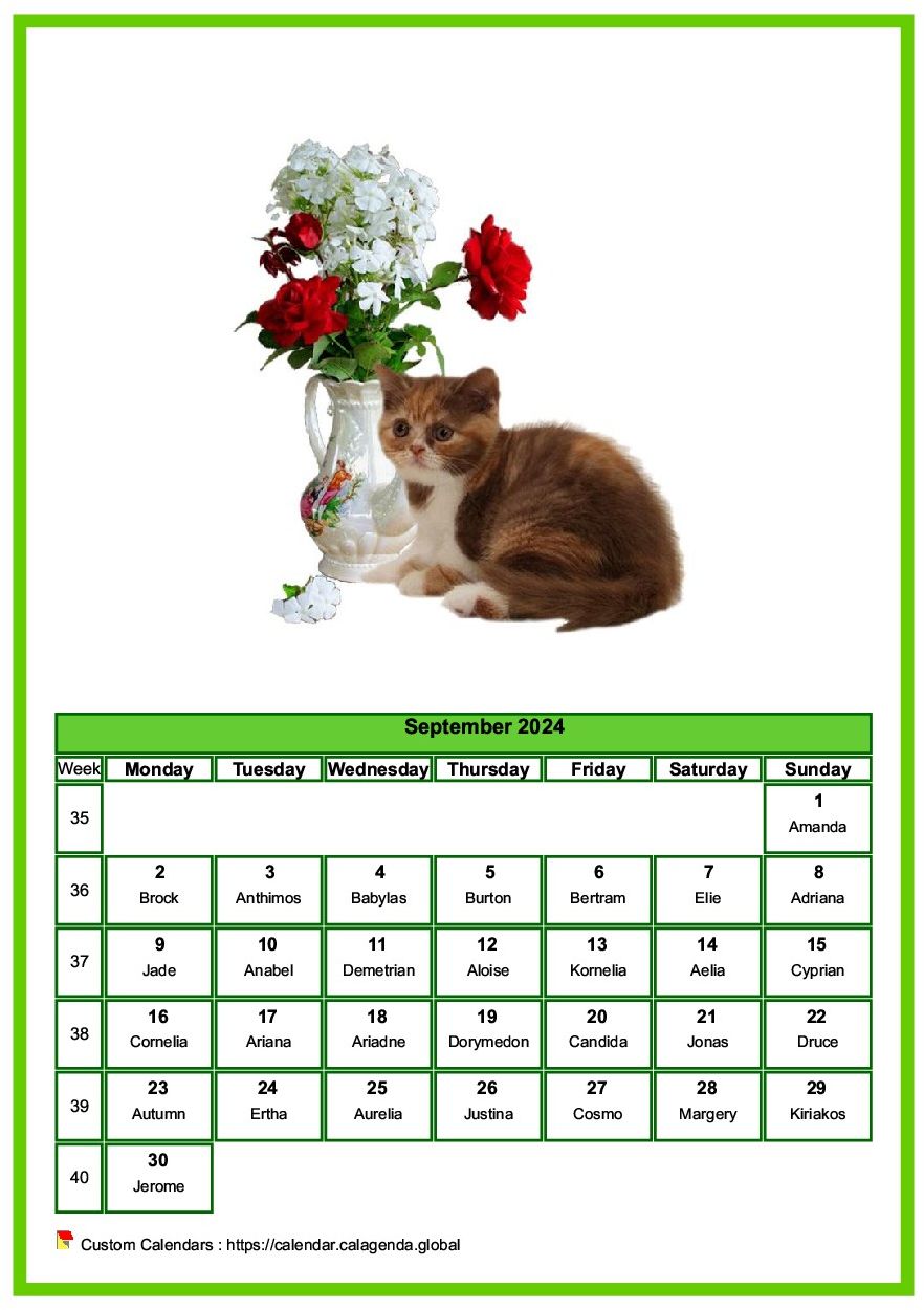 Calendar September 2024 cats
