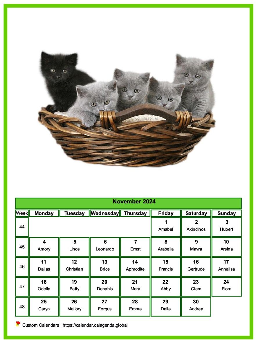 Calendar November 2024 cats