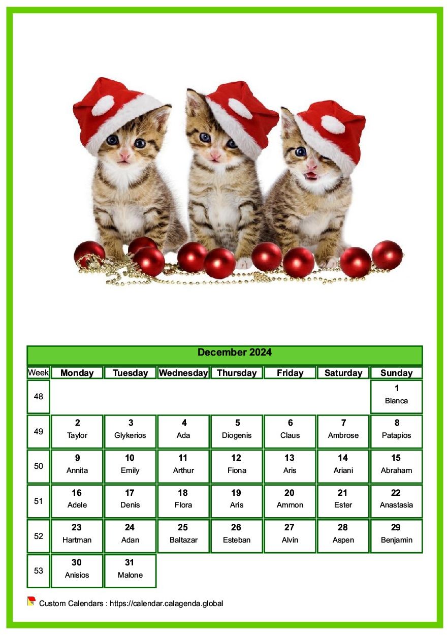 Calendar December 2024 cats