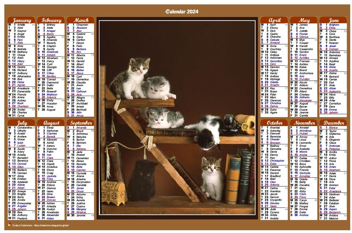 Calendar 2024 annual of style calendar of posts with cats