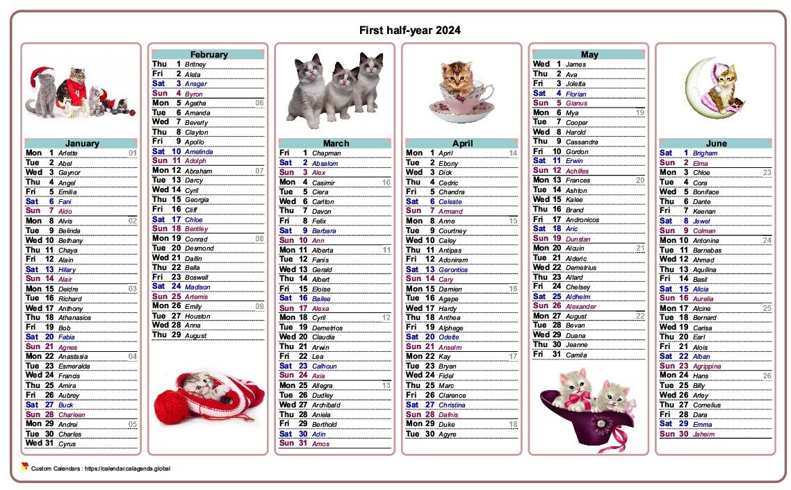 Calendar 2024 half-year cats