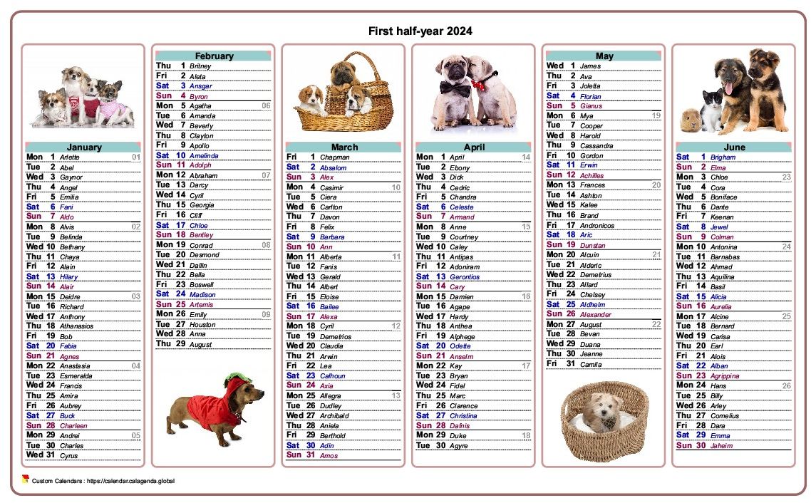 Calendar 2024 half-year dogs