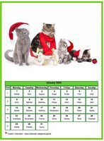 January calendar of serie 'cats'