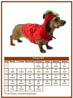 February calendar of serie 'dogs'