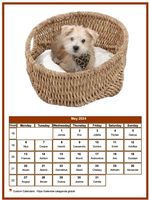May calendar of serie 'dogs'