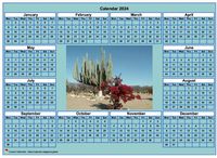 2024 cyan photo calendar