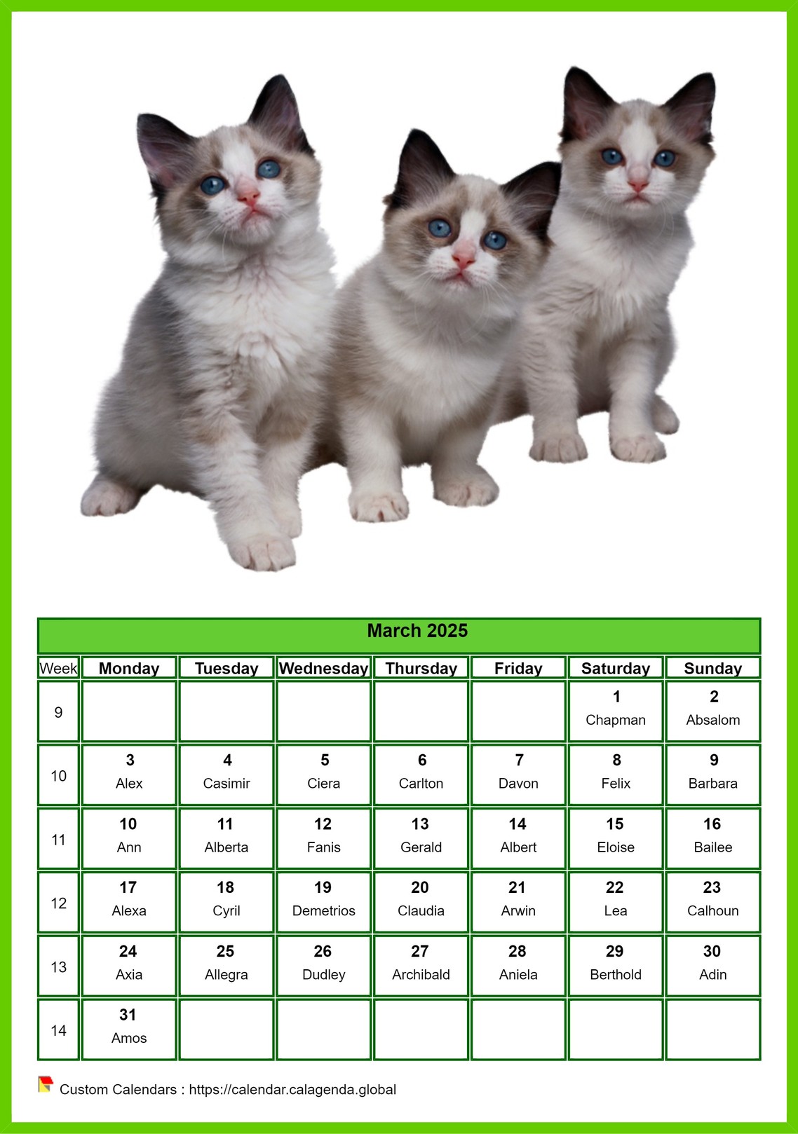 Calendar March 2025 cats