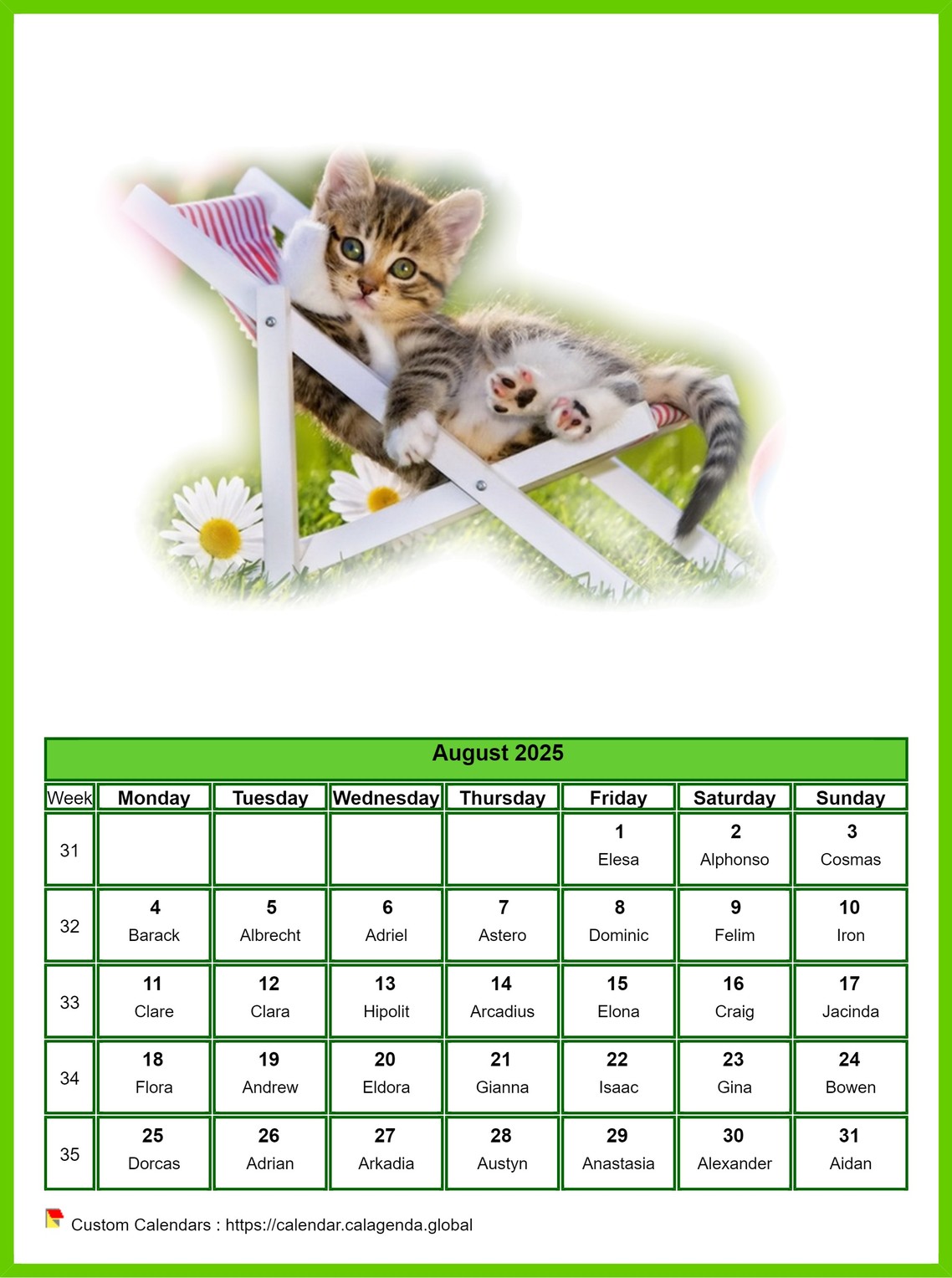 Calendar August 2025 cats