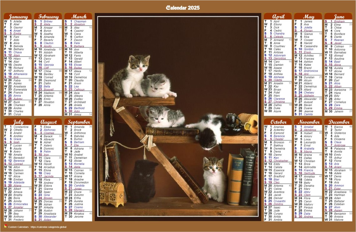 Calendar 2025 annual of style calendar of posts with cats