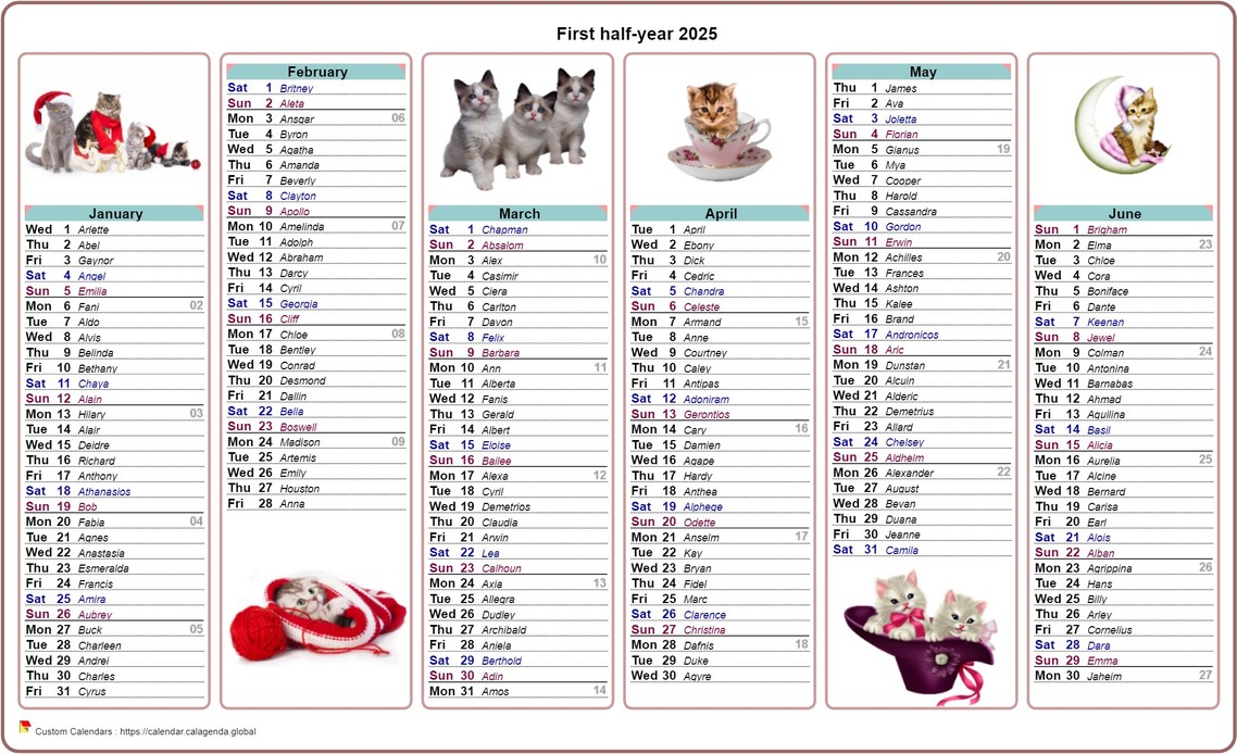 Calendar 2025 half-year cats