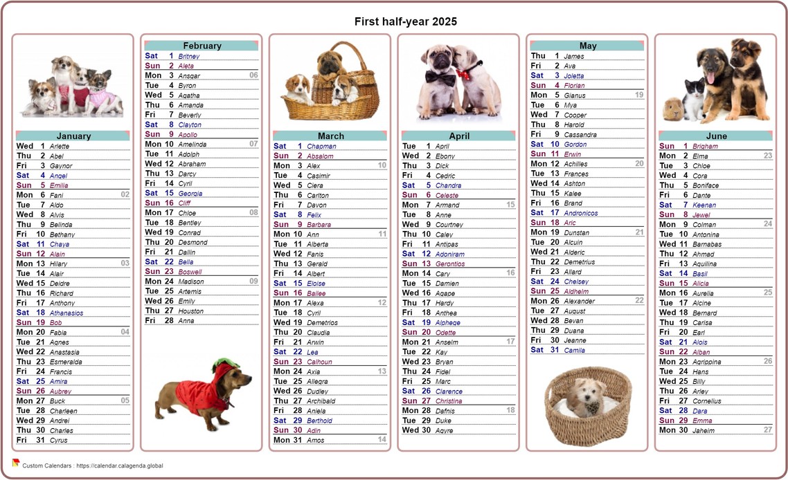 Calendar 2025 half-year dogs