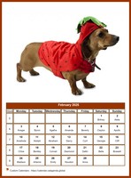 February 2025 calendar of serie 'dogs'