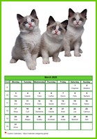 March 2025 calendar of serie 'cats'