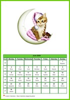June 2025 calendar of serie 'Cats'