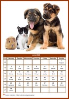 June 2025 calendar of serie 'dogs'