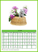 July 2025 calendar of serie 'Cats'
