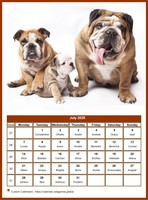 July 2025 calendar of serie 'dogs'