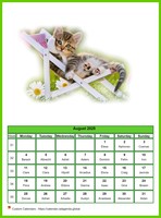 August 2025 calendar of serie 'cats'